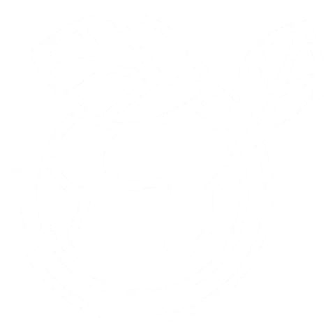 Sustainability-First